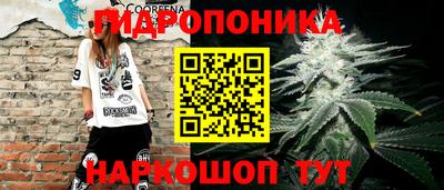мет Ливны