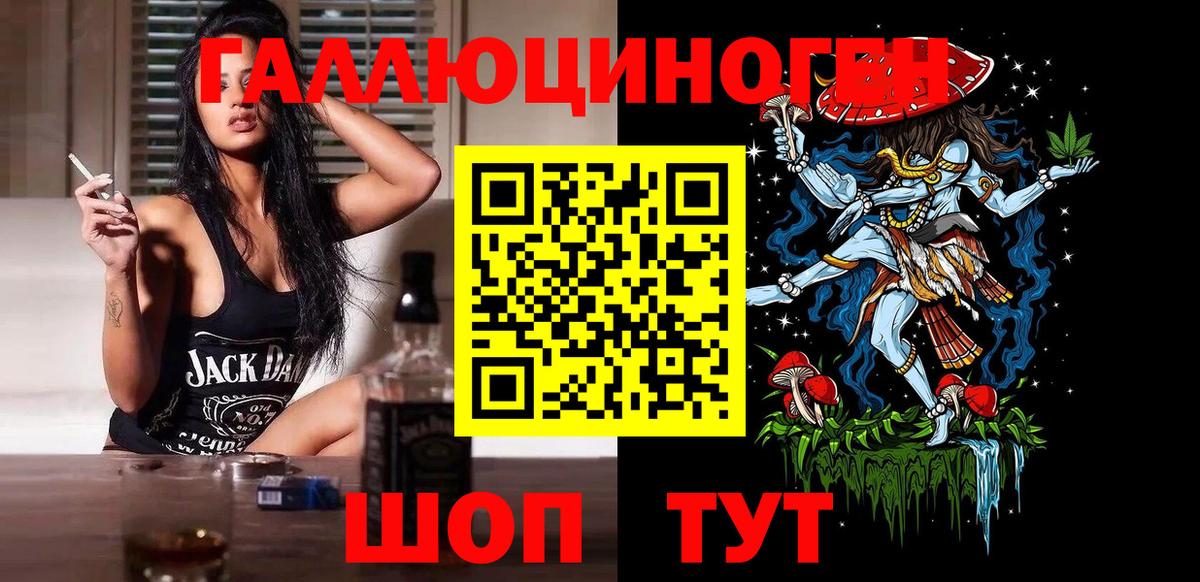 Звенигород  Псилоцибиновые грибы MAGIC MUSHROOMS  как найти   Вход с VPN 