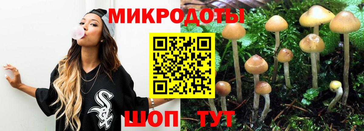 Галлюциногенные грибы Cubensis Звенигород